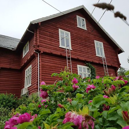 Haugtun Gardspensjonat Og Leiligheter Nordre Land Exteriör bild