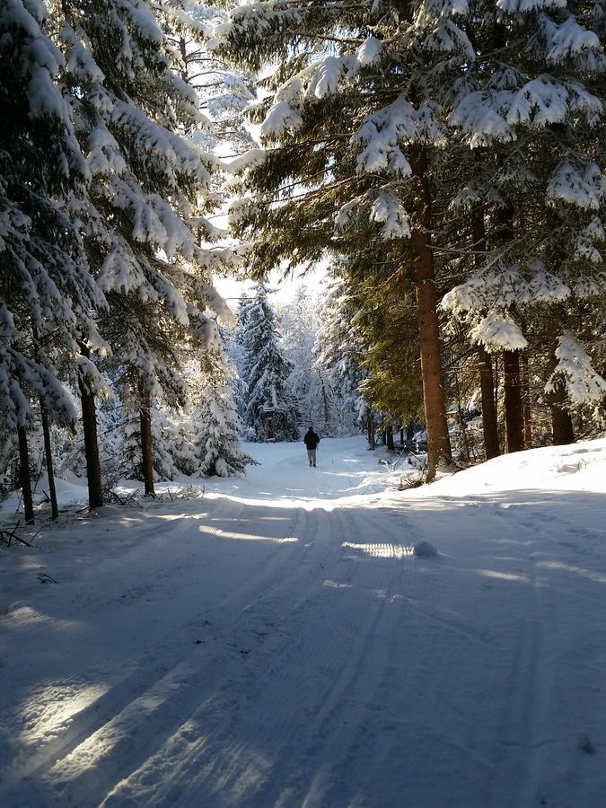 Haugtun Gardspensjonat Og Leiligheter Nordre Land Exteriör bild