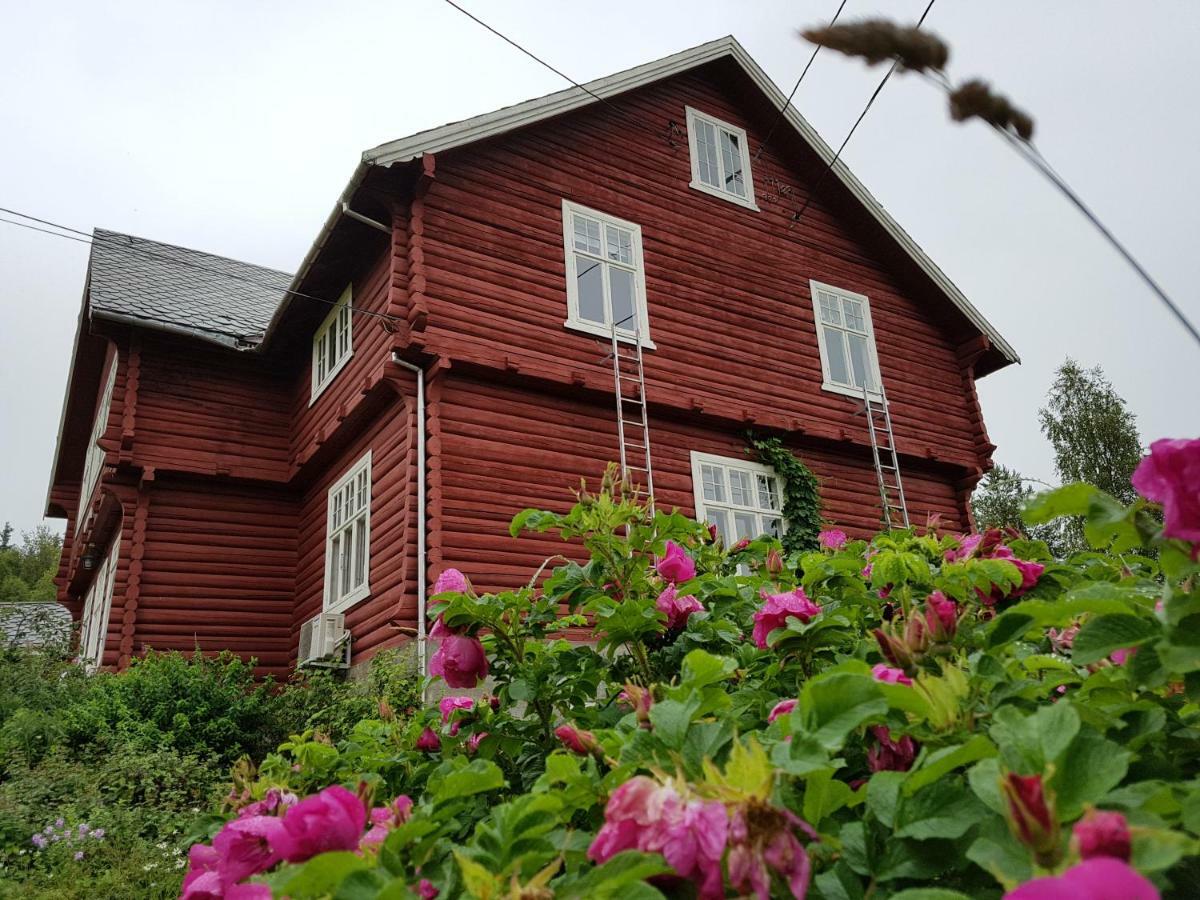 Haugtun Gardspensjonat Og Leiligheter Nordre Land Exteriör bild